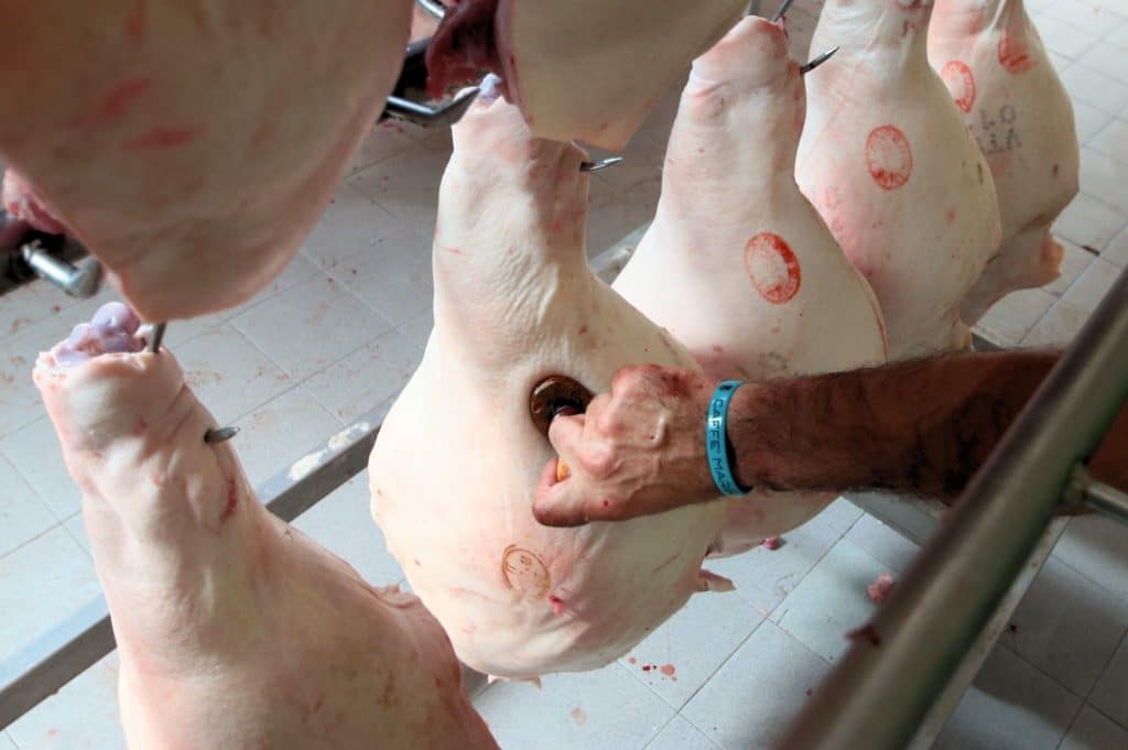 Prosciutti appesi con marchi di qualit&agrave;.